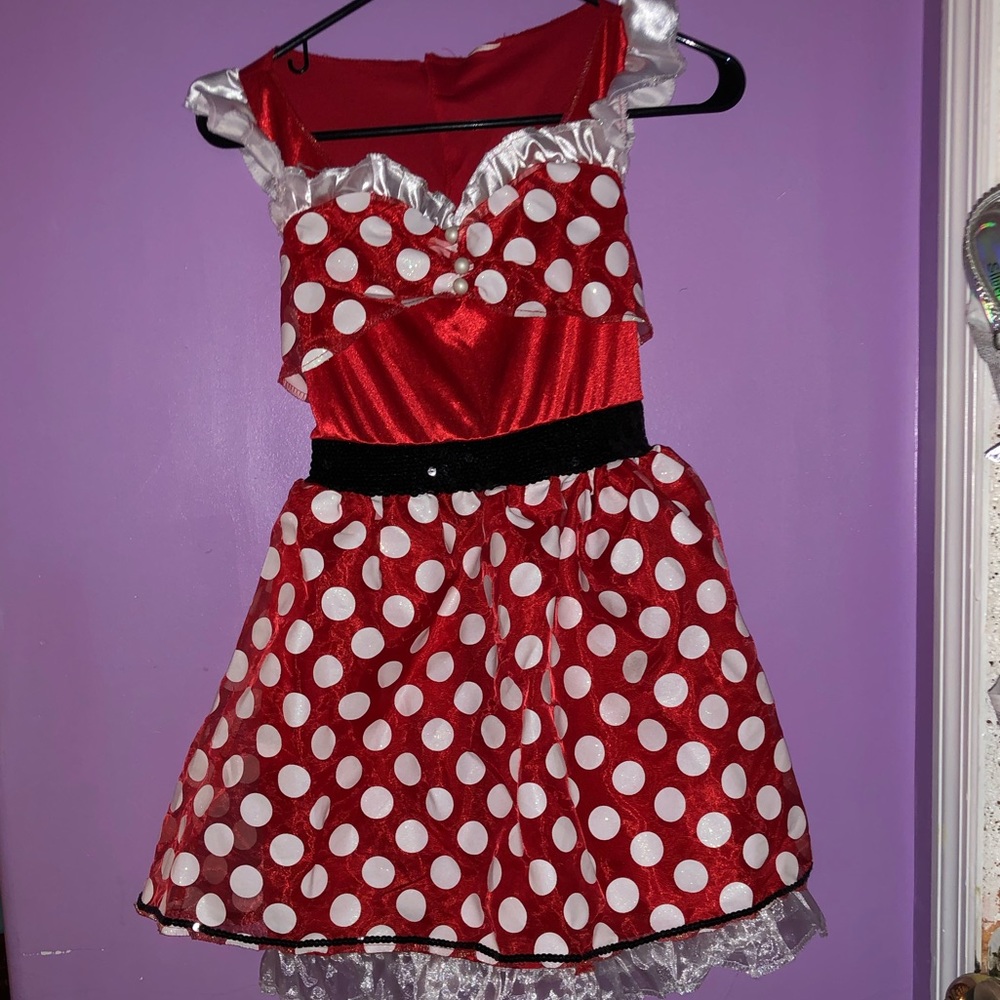 Minnie Mouse Costume